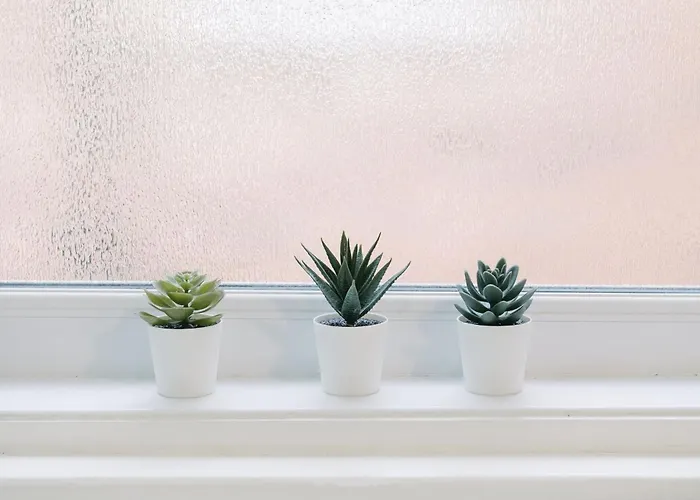 Coastal Comfort 3-bed Retreat *